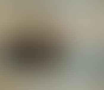 Barche (preview)