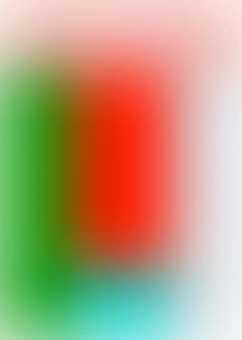 Porträt (preview)