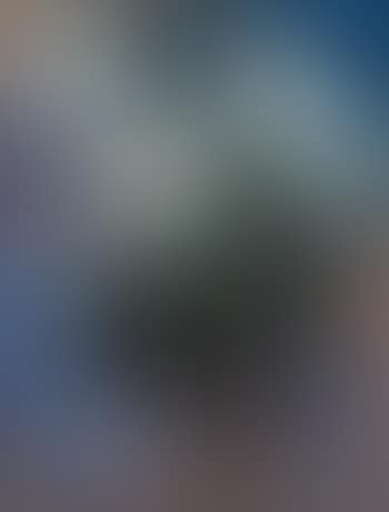 Blumen (preview)