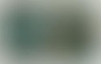 Composition (preview)