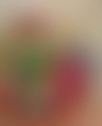 Stillleben mit Madonna (preview)