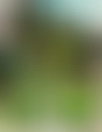 Landschaft (preview)