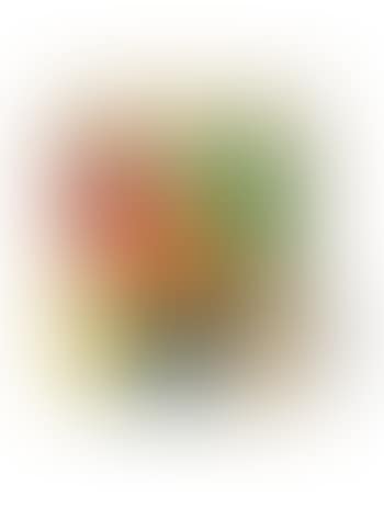 Composition (preview)