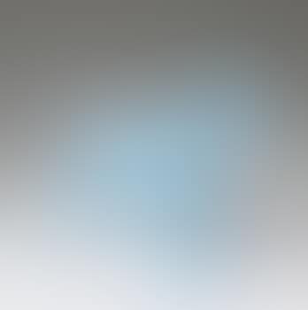 Cloned blue Schnauser (preview)