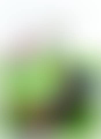 Competition 2 (preview)