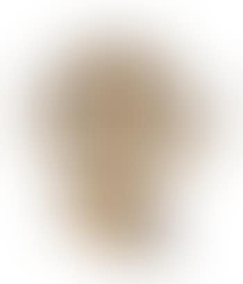 Chapitre XII (preview)