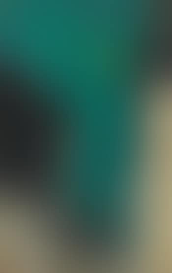 Ohne Titel (Pulu's Easter Egg) (preview)