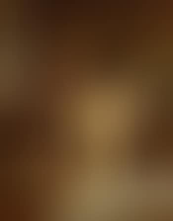 The schoolmaster's reprimand (preview)