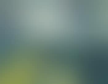 Nordische landschaft (preview)