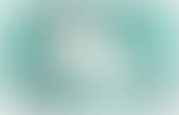 Chat blanc by Speranza Calo-Seailles (preview)