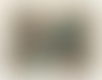 Strasse (preview)