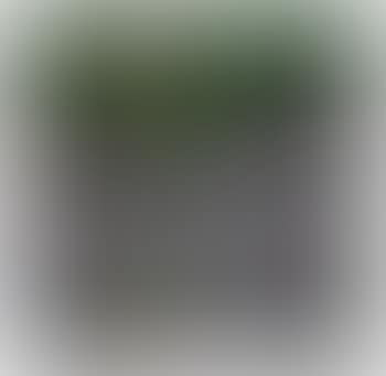 Porfido (preview)