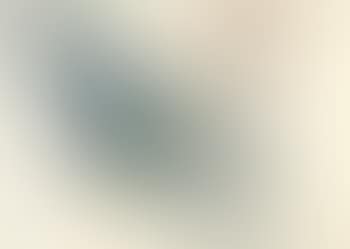 Project for Vienna Festival (preview)
