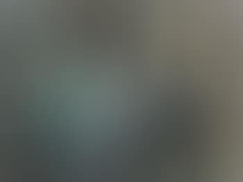 And there, quite close to him was Elizabeth among her ladies, in a dressing gown, unpainted, without her wig, her grey hair hanging in wisps about her face, and her eyes starting from her head (preview)