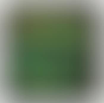 Orticello (preview)