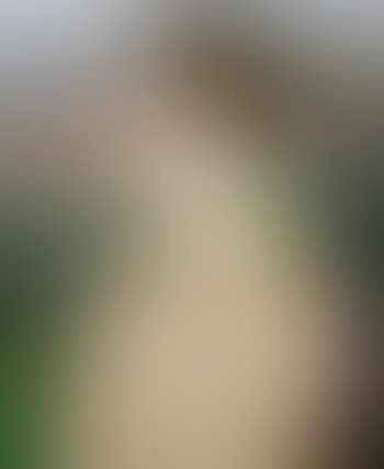 Portrait of Miss Ward (Weeny Weeny) (preview)