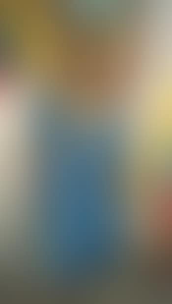 Bonjour, Monsieur Botero (preview)