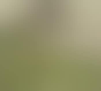 Niederrheinische landschaft im vorfrühling (preview)