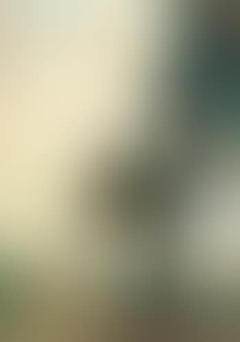 Holsteinische schweiz (preview)