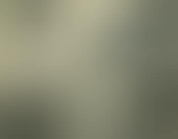 Erftlandschaft (preview)