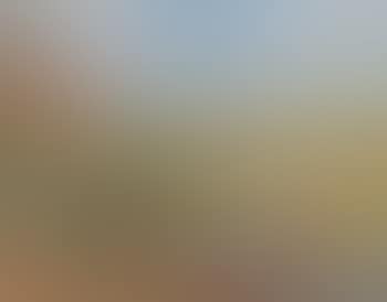 Paysage au pont (preview)