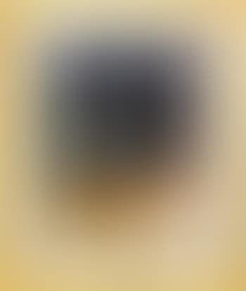 Landskap (preview)