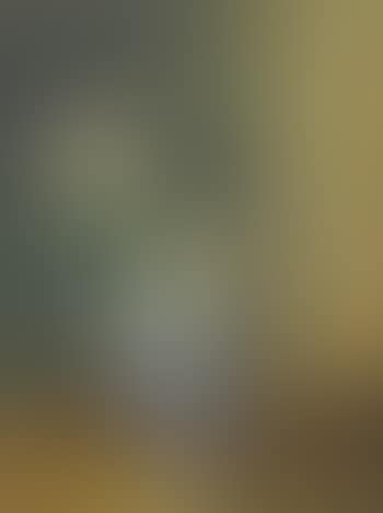 Weisse Rosen in einer Vase (preview)