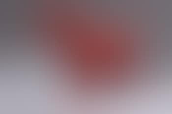 Cloned red Labrador (preview)
