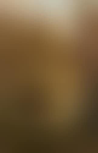 Scene in the forest with deers (preview)