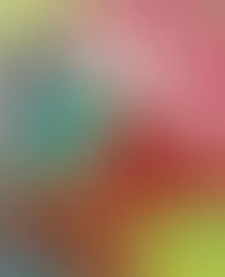 Damien Hirst - In a spin, the action of the world on things (preview)