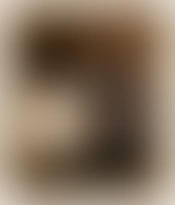Apostel (preview)