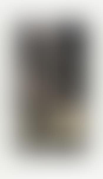 Der hirte (preview)