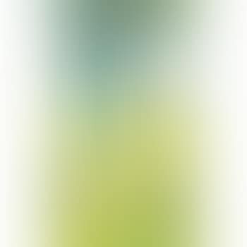 Champ de blé (preview)