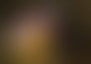 Stillleben (preview)