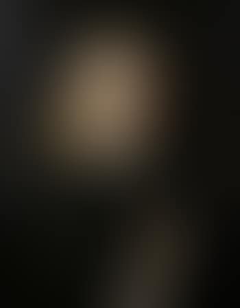 Portrait of a gentleman, bust-length, in a black mantle and a white chemise (preview)