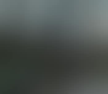 Landscape with bridge (preview)