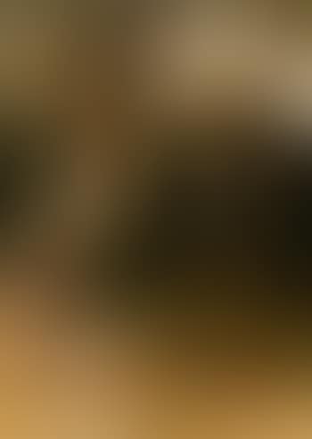 Fallow deer (preview)