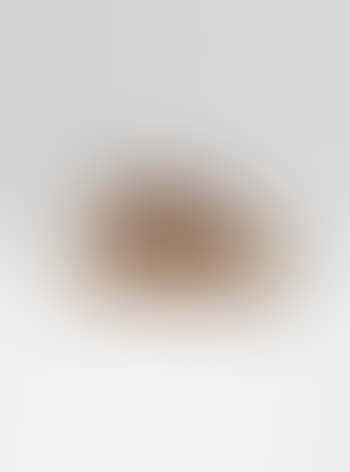 Ohne Titel (Löwe) (preview)