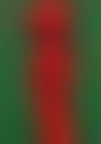 Nine views of winter No. 2 (preview)