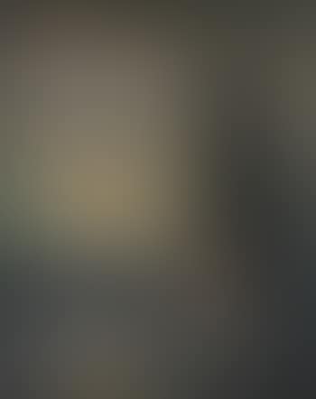 Great horned owl and fledgling at dusk (preview)