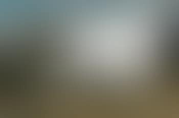 Ohne Titel (preview)