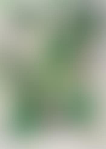 Ohne Titel (preview)