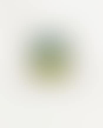 Ohne Titel (preview)