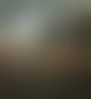 Stormy landscape (preview)