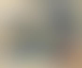 Paysage (preview)