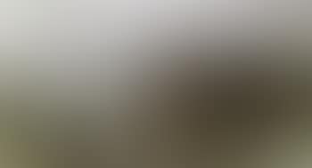 Landschaft (preview)
