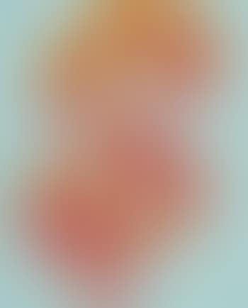 Dollar Sign (preview)