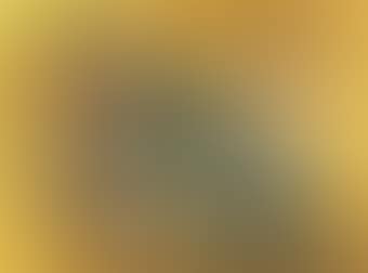 The Desert (preview)