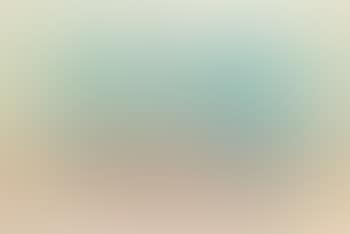 Composition, paysage (preview)