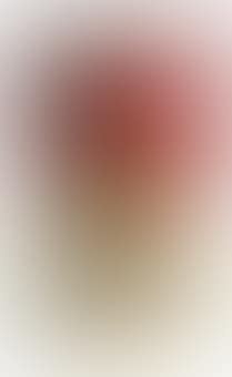 Campbell's Soup Can (Chicken With Rice) (preview)